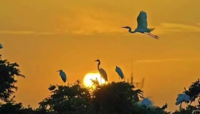  秋景|这一组迷人秋景，美爆了朋友圈！