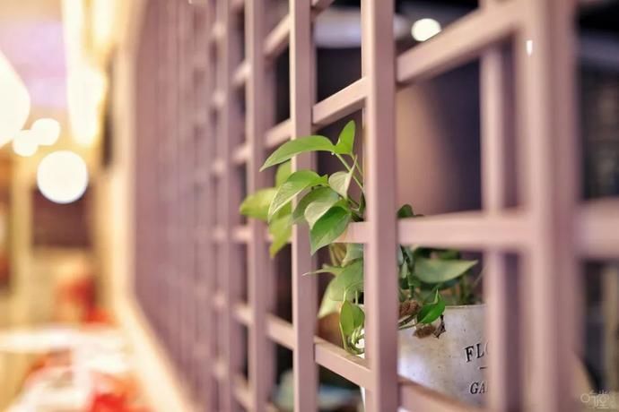 黑鱼|【吃堂】鲜辣酸爽的汤+Q弹嫩滑的鱼,这家店就凭一道菜打天下,够用了!