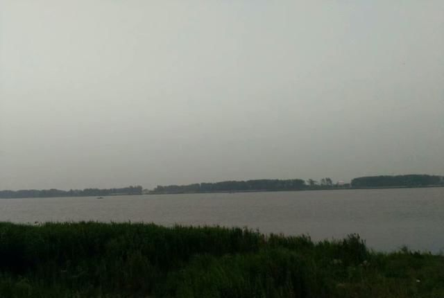  生活|这种生活在长江里的动物，以前很多，现在全国不到一千只