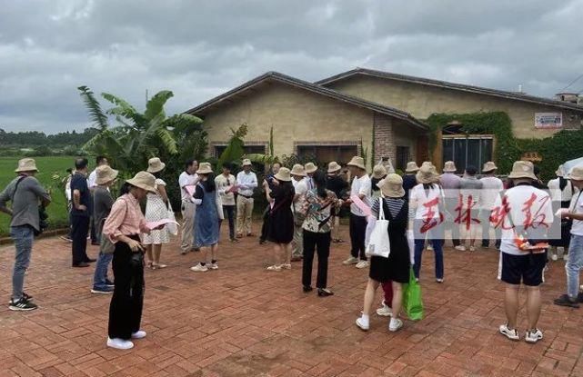 仁东镇鹏垌|令人骄傲！玉林这些地方的变化真大