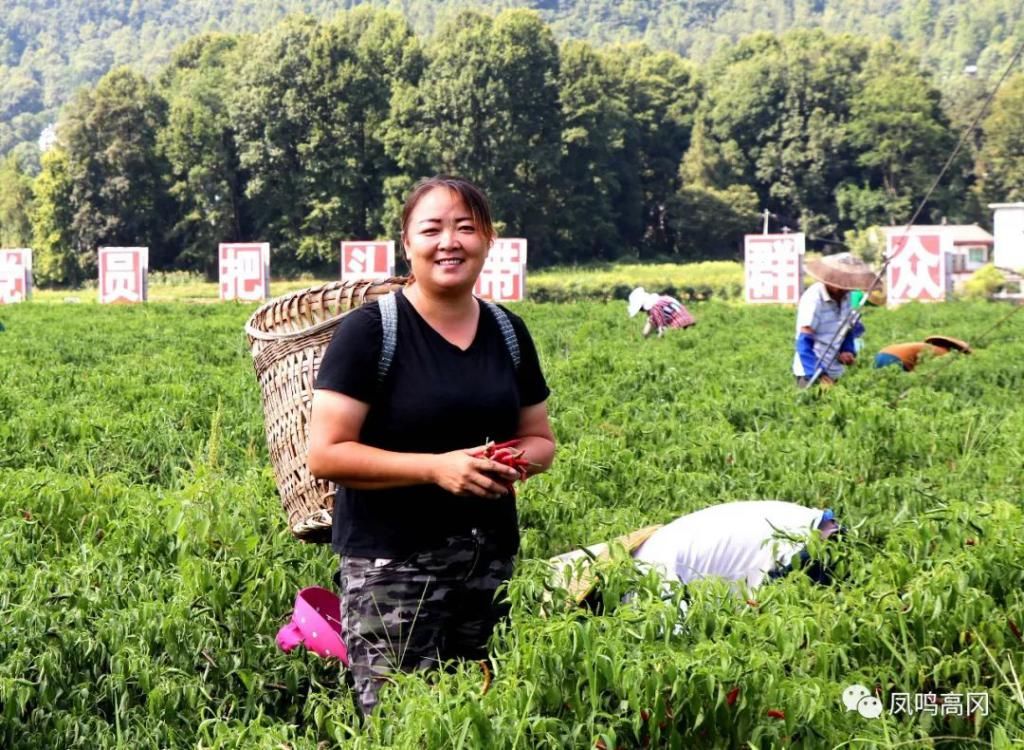  土家|土家寨上勇挑“担子”的女汉子