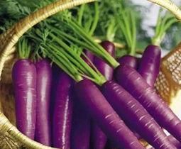  蔬菜|7种长相“奇特”的蔬菜，你见过吗？你敢吃吗？吃过的人忘不掉