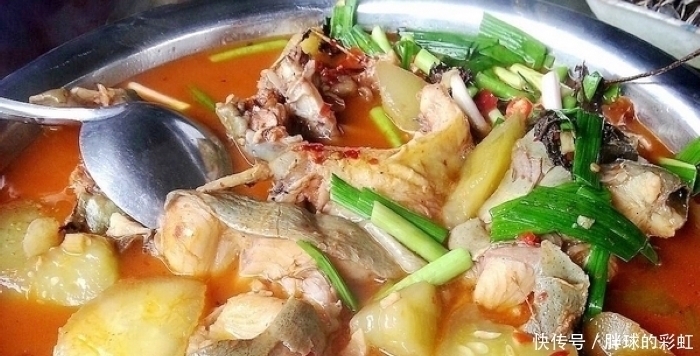  鲤鱼|被“误会”最深的鱼，1斤4元无人吃，却比鲤鱼好吃比鲫鱼营养