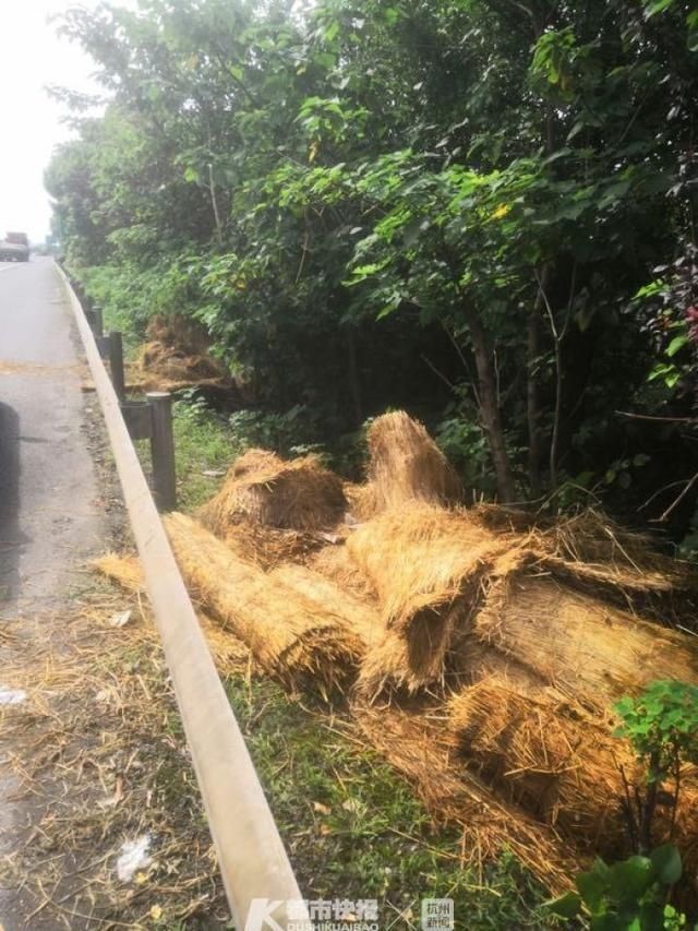 竟然|什么操作,竟然又是高速违停扔垃圾