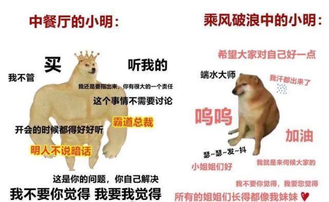 简直|原来《乘风破浪的姐姐》是一档表情包还原节目,简直是神还原