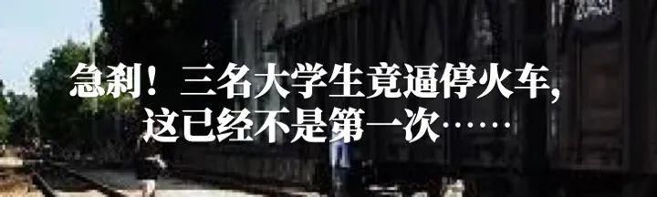  深圳|可可西里的守护者！深圳男子用镜头记录荒原上的藏羚羊