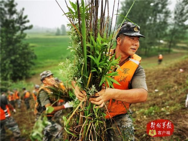 劲旅|洪水不退我不退！“钢铁劲旅”筑起防洪“铜墙铁壁”