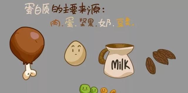  吃多|肉肉是怎么来的？怎么减掉的？｜能看懂的人都瘦了……