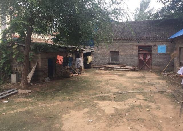  玉米地|东明老家玉米地里看到的一幕，令人......