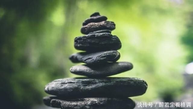  推断性统计|统计数据：一个成功数据科学项目的最佳起点