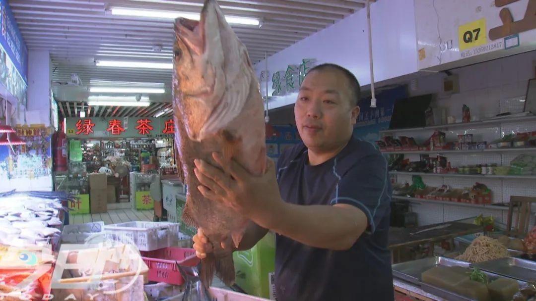 海鲜|青岛海鲜市场现大鱼!这么多海鲜,你最爱哪个?