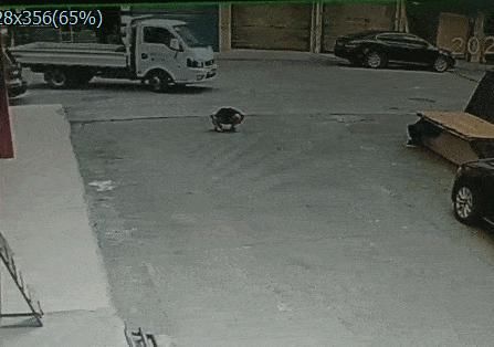  惊险|看好孩子，道路不是游乐场！监控拍下惊险一幕…