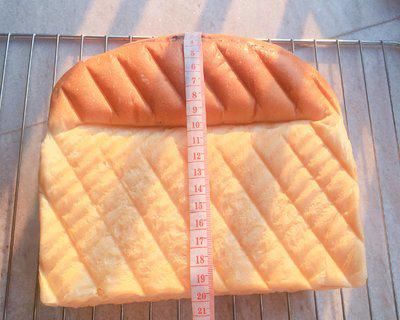  吐司|100个吐司练习