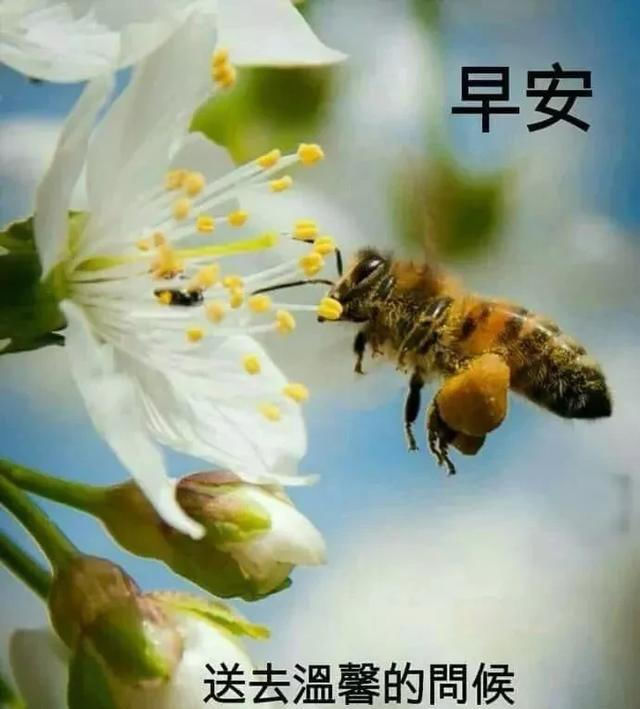  期六|有些人事，看不清会纠结，看清了会心痛。早安