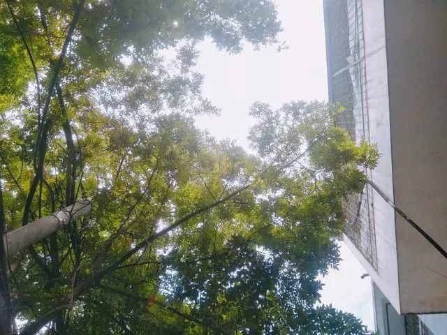  拍了拍|温柔文案 ||“好运”拍了拍你