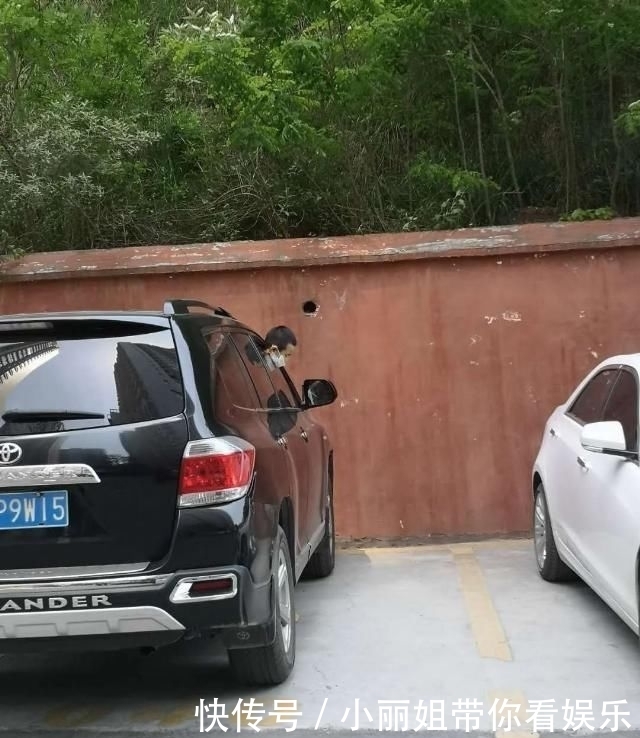  民警|婴儿被困车内险丧命，只因妈妈这句话！很多家长都犯过这个错