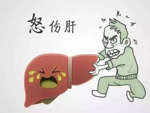  肝脾肾三|肝经锻炼七法，强肝护肝真“肝”净