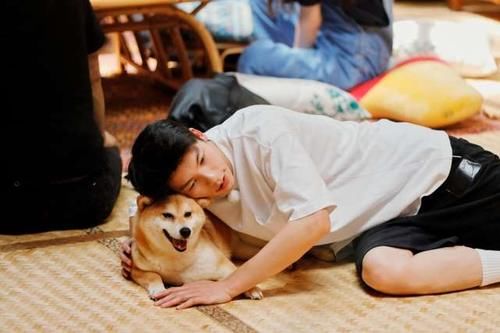  神秘|靠最后一期翻盘？《向往4》请来神秘嘉宾，网友：这回稳了