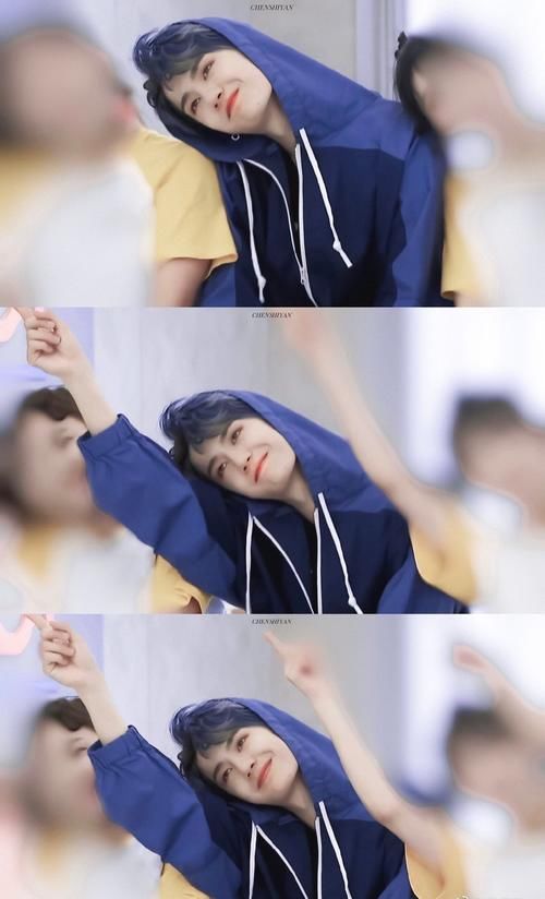  一口咬定|王一博有没有主持人证？自家粉丝一口咬定没有，搞清楚再来科普！