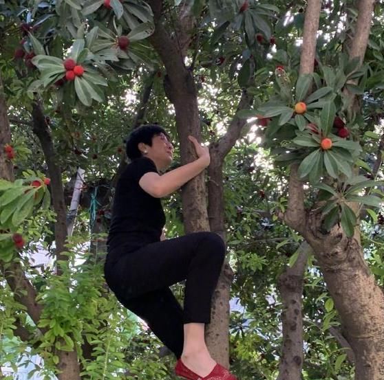  再度|前央视主持张泉灵：因一场乌龙病辞离央视，今靠“奇葩”方式再度走红