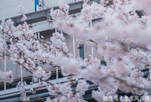 着想|“姐姐力”可打高分的星座女,性格独立,很善于为他人着想