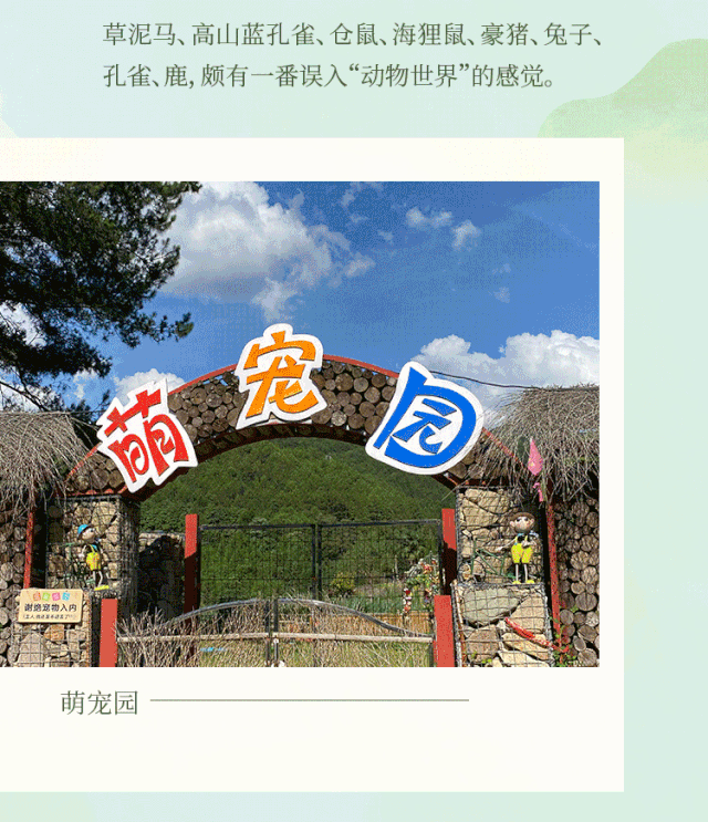 今夏|民宿福利 | 打卡今夏萤火虫最多的观赏圣地，这趟2日亲子游全！程！高！能！