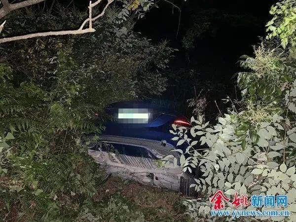  深夜|90后小伙深夜开着大奔独自上山，突然冲出山路