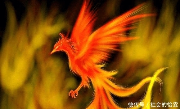 毕方|你不知道的古代五大凶兽,第一是朱雀祖先,第三像孙悟空