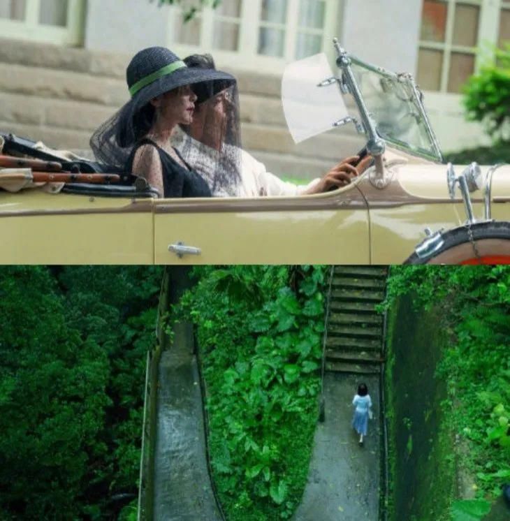 争霸|壹周潮话题 | 八月第一周:白玉兰气质争霸&杨幂热巴的长腿狙击