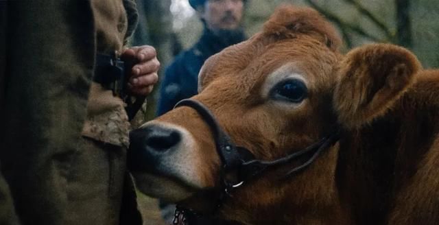  口碑|今年口碑最好的新片，是一个温柔的荒蛮故事