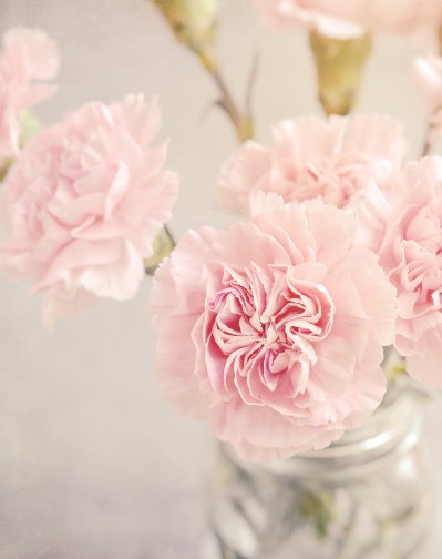  幸福|8月份好运的4大生肖，桃花开幸福来，事业升金钱到