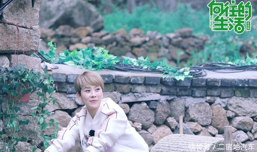 海清|向往的生活彭昱畅和胡先煦气氛不对,镜头前直接拉下脸