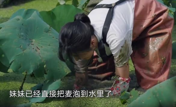  做错事|团宠张子枫不小心做错事，对节目组说了对不起后，导演就心软了