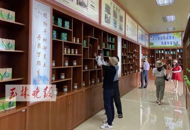 仁东镇鹏垌|令人骄傲！玉林这些地方的变化真大