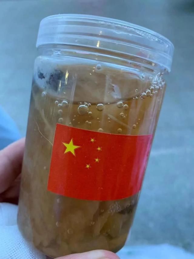  大白|谢谢你，大连“大白”！让我们一起守护大连