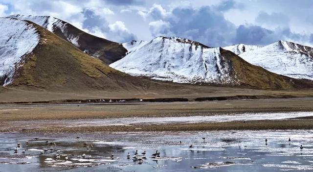 女人|旅行：曾经有一个女人，为我而去了西藏