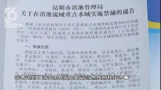 滇池|“我在滇池横着走！”男子直播在滇池钓鱼，结果…