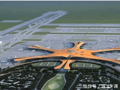 最美|最美胸针——他们才是真正的偶像