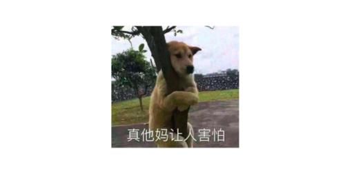  吓人|抱两娃开车、酒驾红绿灯睡觉……这些司机的“神操作”太吓人