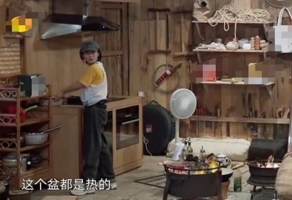  孙莉|《向往的生活》安逸假象曝光，黄磊厨房更像炼钢炉，孙莉劝他退出