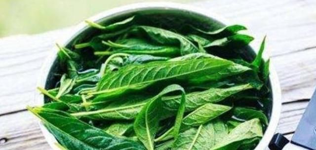 羽衣甘蓝|女性想要皮肤好常吃3种食物,美容养颜、延缓衰老,早吃早健康