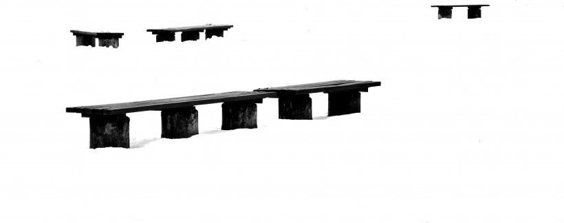 爱情运势|八月份,被月老点名的四大星座,桃花运缠身,爱情的萌芽彻底苏醒