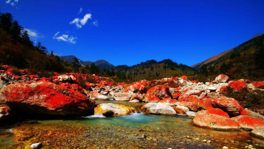  神农架|中国最神秘的3处自然景观：存在一定的危险性，能全部去过不虚此生