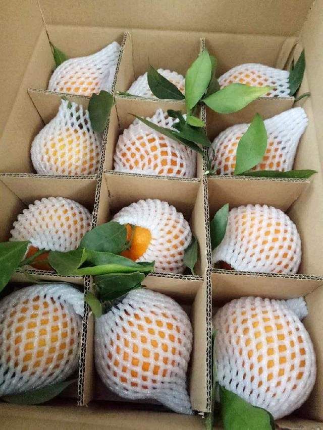 爆汁|日销10W箱的超爽“爆汁橙”，甜而多汁，入口即化，全网卖疯了！