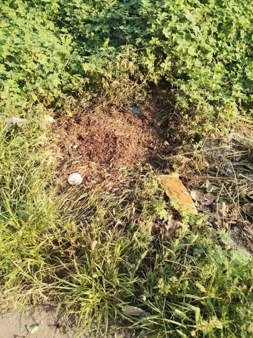  三原老张微信公众平|2020年8月29日，三原市民有话说