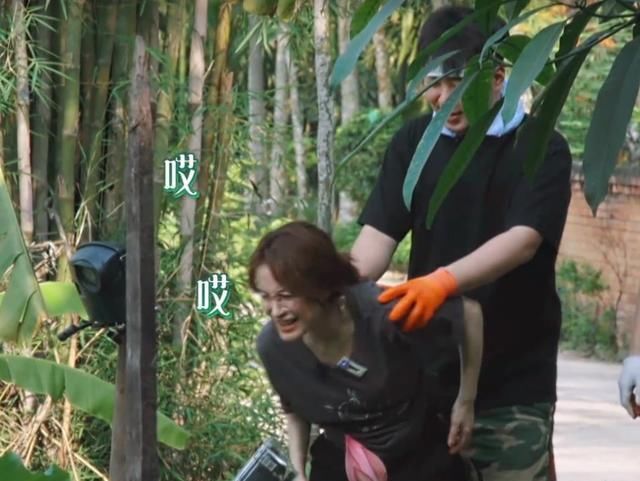 关系户|亮点不断!《向往的生活》迎来最强关系户,盼了三期,何炅终圆梦