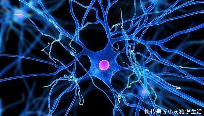  饮食|长期清淡饮食竟成“痴呆”！你所认为的“清淡”对身体真的好吗？