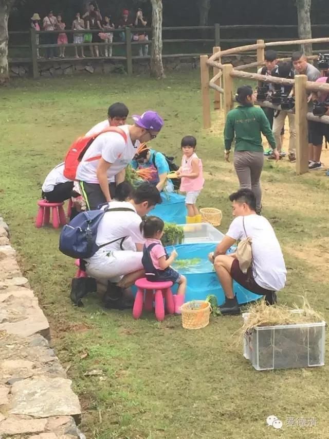  听雷|《奇妙小森林》《重启之极海听雷》里的德清元素等你get!