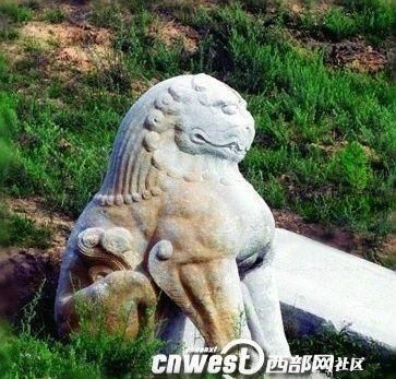 悬赏|悬赏百万征集线索！