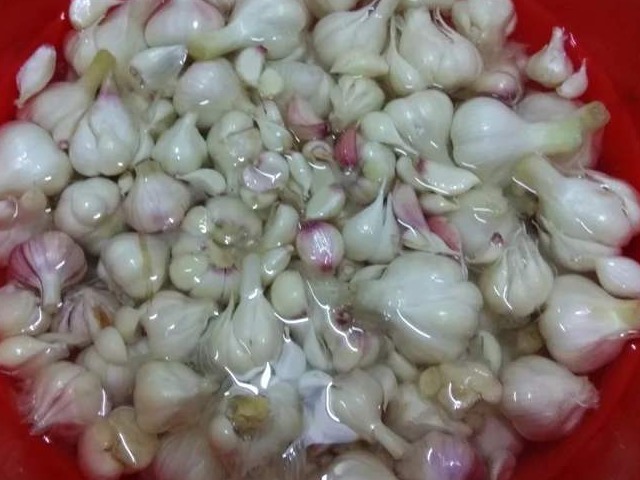  竟是|小小一颗蒜，竟是全家的保健“药”，每天来一瓣，保健效果佳